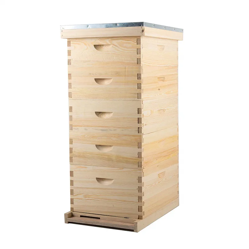 8 Frames Langstroth Bee Hive: Two Layer Hive for Efficient Beekeeping