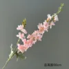 Two-pronged larkspur