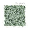 White Gypsophila
