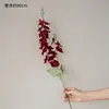 Red Larkspur
