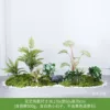Yangguan Yin