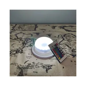 Multicolor Various LED Dome Spare Light Plastic Illuminated Replacement Lighting Fixture for Glow Flower Pots