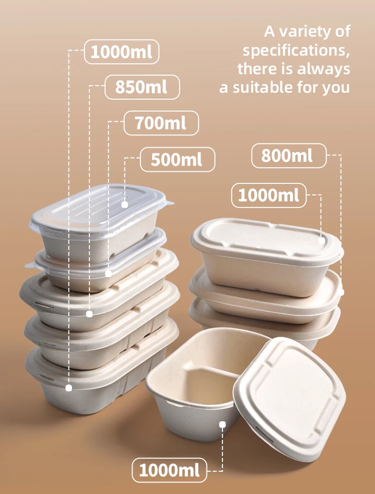 SenAng Disposable Biodegradable Sugarcane Bagasse Pulp Food Container Take Away Lunch Box with Lid