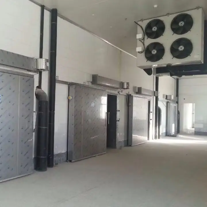 Complete turnkey cold storage and freezers including panels, doors and refrigeration equipment