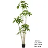 Árbol del dinero, 210 cm (viene con base negra)