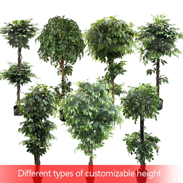 Dekorativer Gnstiger Knstlicher Ficus/Benjamin-Baum - Umweltfreundlich  fr Innen- und Auenbereich Geeignet 8-10 Jahre Lebensdauer  Hhenverstellbar| Alibaba.com