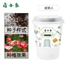 Poppy Planting Kit