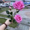 3 head diamond rose light rose red