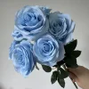 #3 blue