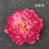 Rose rose