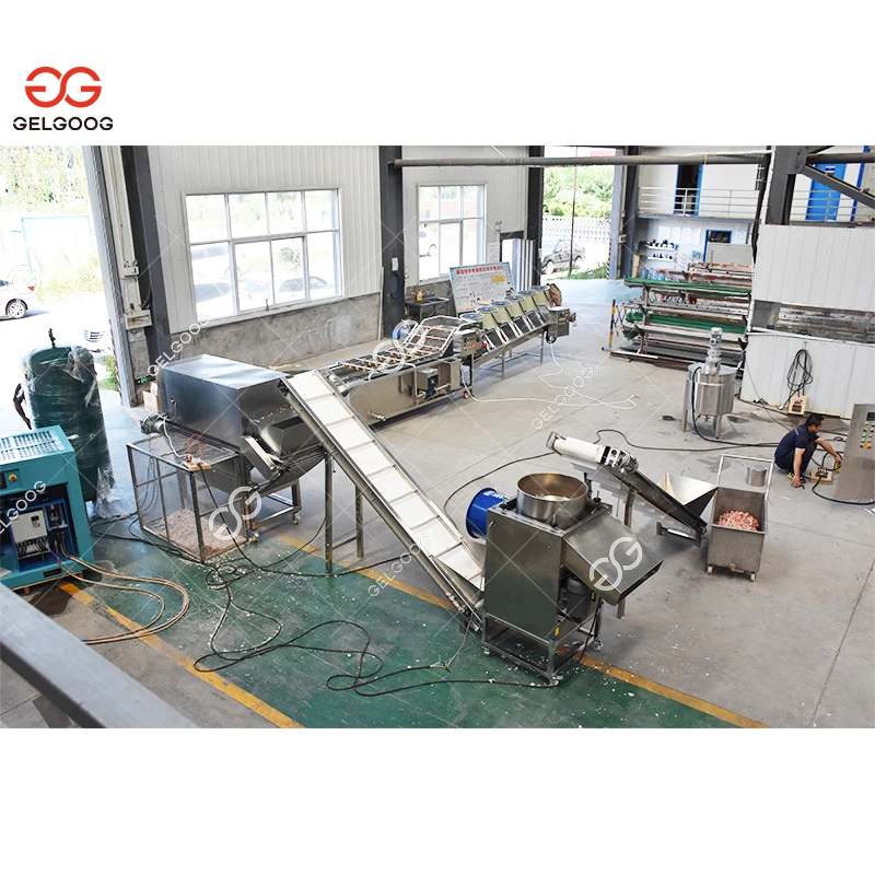 Gelgoog Manufctring Automatic Garlic Powder Processing Plant Garlic Powder Production Line Drying Machine