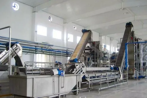 Factory Genyond Complete Prickly Pear Fruit Juice Paste Production Line / Prickly Pear Jam Processing Plant Making Machine