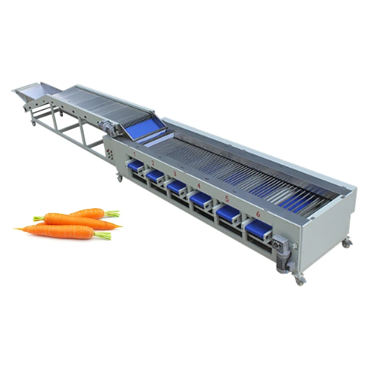 Cucumber Carrot Sorting Machine Carrots Grading Machine