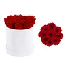 17 white box+red