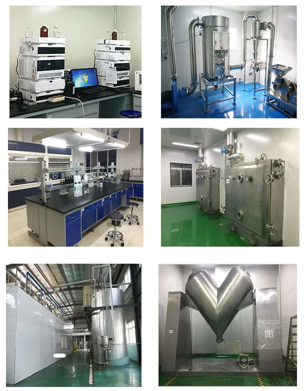 Λευκό Φαλμικό λιπαρό οξύ υγιεινής ποιότητας 45% σκόνη εκχύλισης φρούτων Saw Palmetto 3