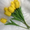 Jaune clair pur