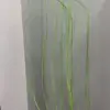light green bean sprouts