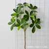 Árbol de pato 76cm - ramas cortas