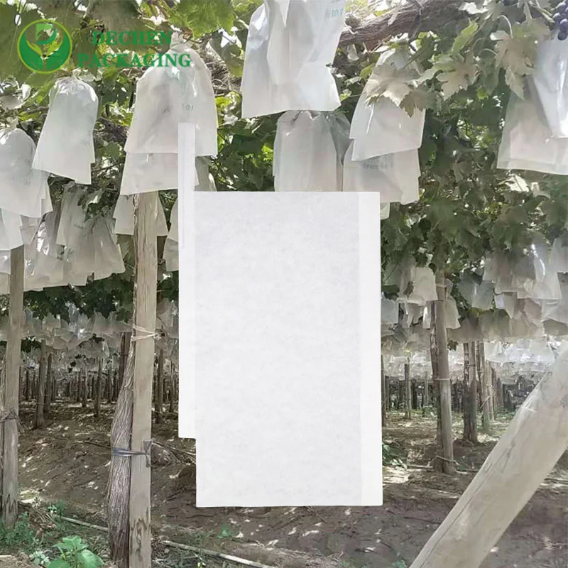 20*30 Double Layer Mango Growing Table Grape Paper Bag Free Samples Offfered