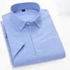 13-Plaid blu