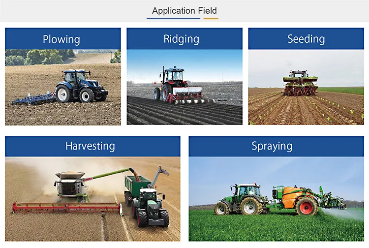 Champ Agricole Et De Labourage Avec Des Boeufs Photo Stock - Image Du