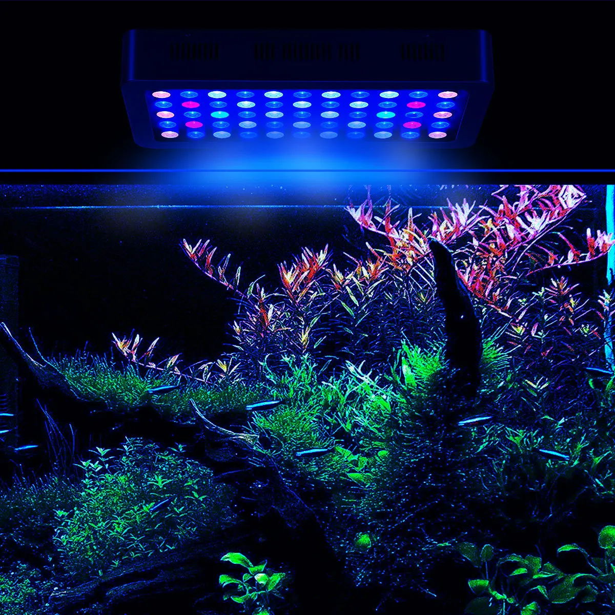 2025 Hot Sale LED Aquarium Light 165W LED Coral Reef Aquarium