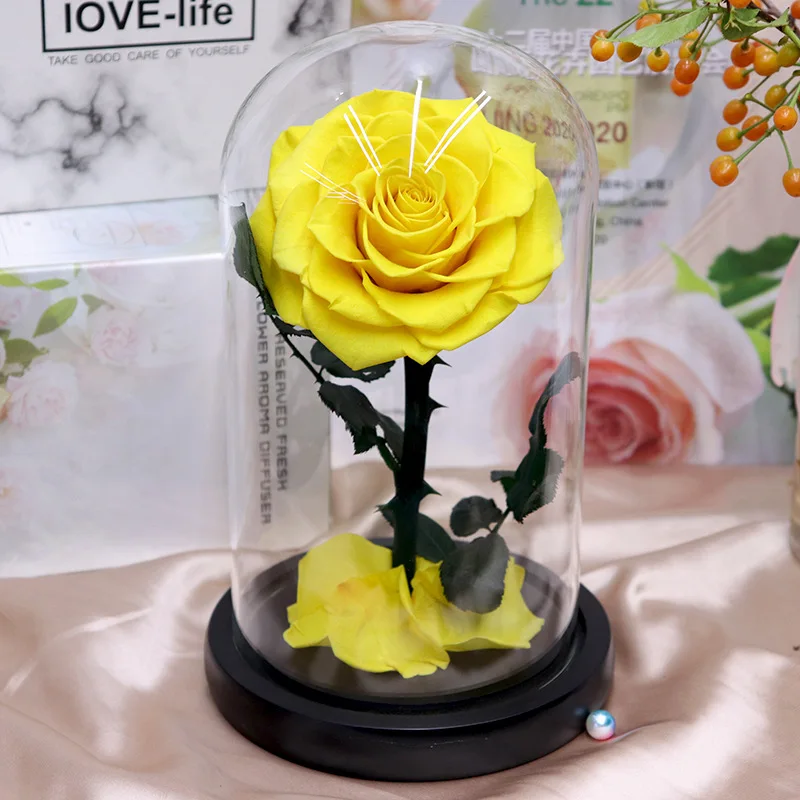 New Product Ideas 2019 Wholesale Preserved Roses For Gifts Crafts Luxury  Gift Boxes Forever Rose Preserved Flower In Glass Dome - Buy Beauty And The  Beast To Preserved Flower Preserved Rose In