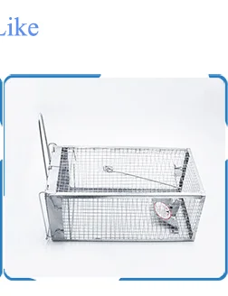 Mouse Catch (2).png