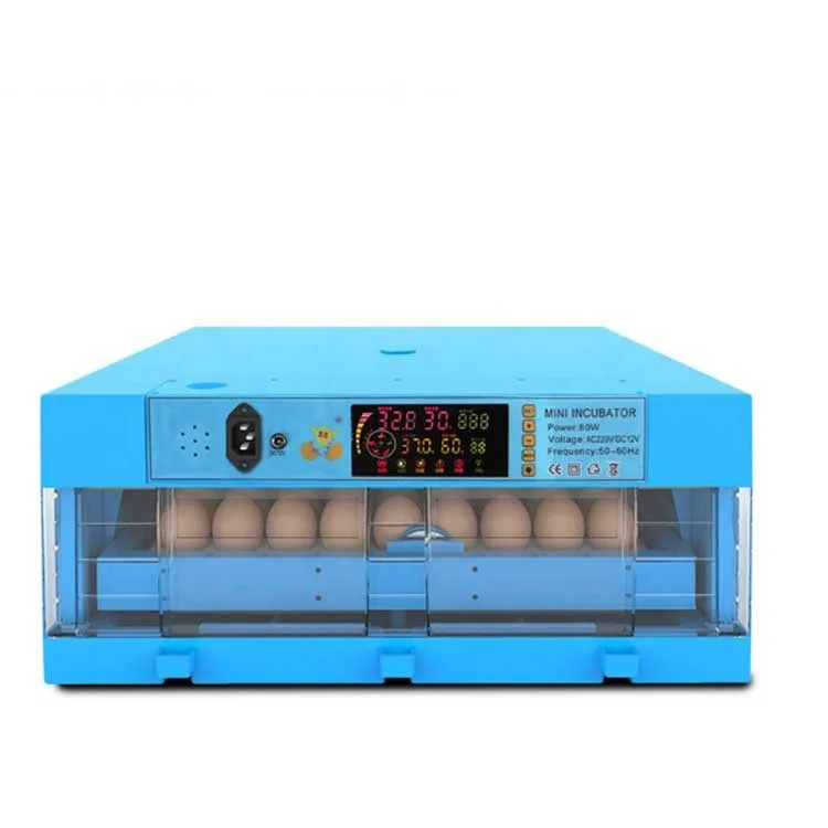 Инкубатор 20 день. Инкубатор 12 egg incubator. инкубатор автоматический wq 96. инкубатор для 60 куриные яйца. инкубатор синий.
