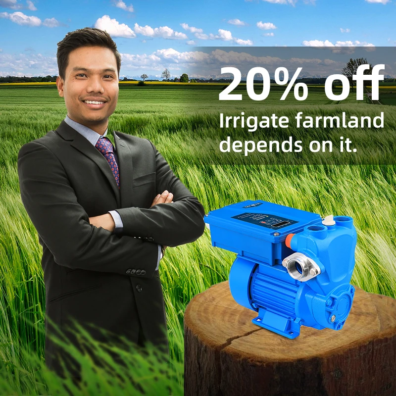 Высокопоточный водяной насос постоянного тока на солнечной батарее 1HP для сельского хозяйства