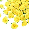 สีเหลือง