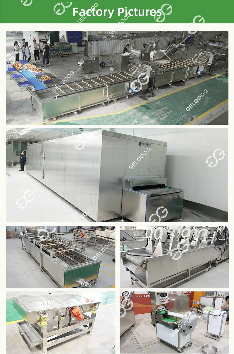 Barhi Date Fruit Freezer, 380V, sus304 - detail 14