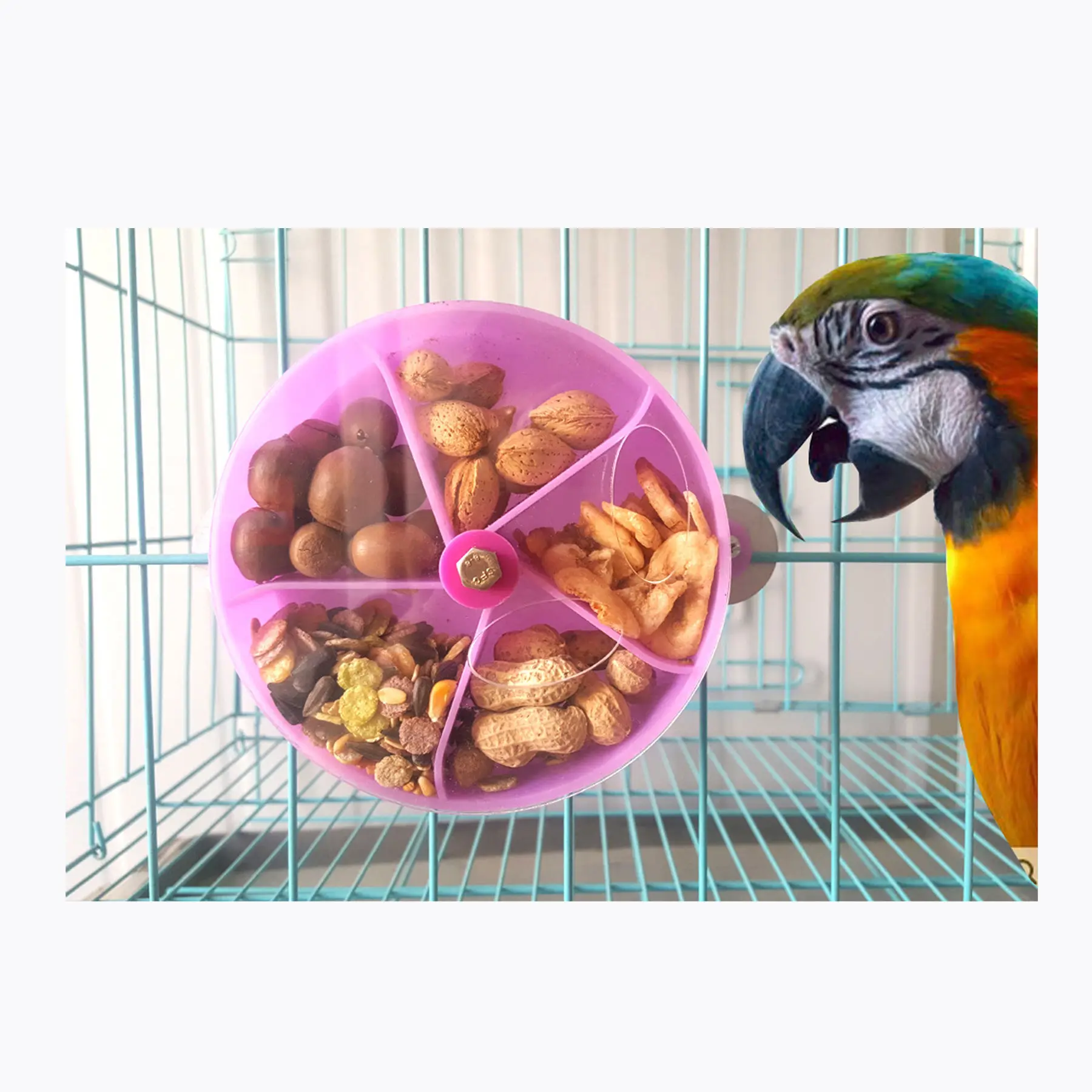 Распродажа, оптовая продажа, повседневные стильные игрушки для птиц из Гуандуна, Китай, забавные игрушки для клетки