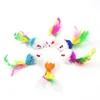 Rainbow Mouse