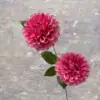 MIX--#7
