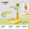 Yellow+Frog