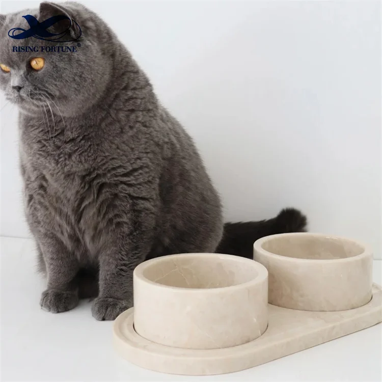 spill proof pet water bowl