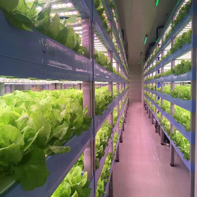 Mushroom Farming Smart Growing Container for Sale