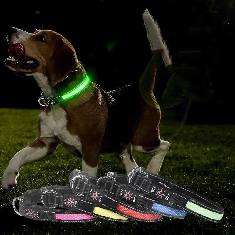 Adjustable Pet Dog Waterproof Light Flash Night Safety Led Dog Collar