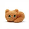 Who is curious about the cat in orange