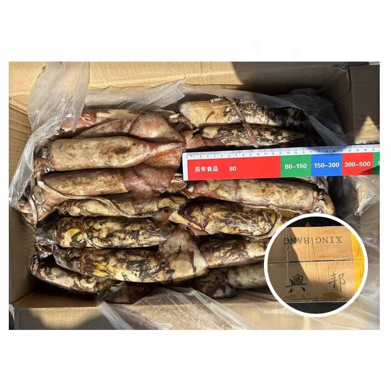 Fresh Frozen Indian Ocean Squid Whole Round Squid - Buy Frozen Squid