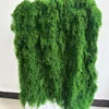 Verde scuro