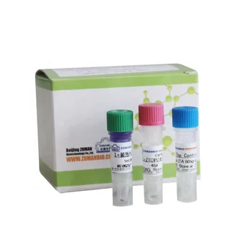 Powerful ethidium bromide Clean up Kit Powerful fast EB Removal of surfaces Contaminated special product Chemical Reagents 50T