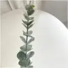 Spray bianco piccolo eucalipto