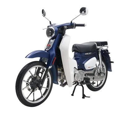 Company Overview - CHONGQING FAST RIDER MOTORCYCLE CORPORATION LIMITED