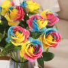 สีชมพู สีเหลือง สีฟ้า สีรุ้ง 2