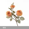 Orange - 3-headed Royal Rose
