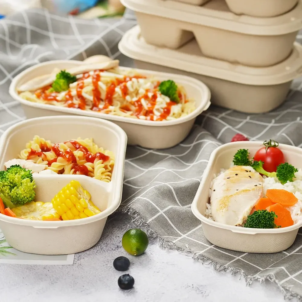 PFAS-Free 100% Compostable Disposable Takeaway Lunch Box with Lid 2 ...