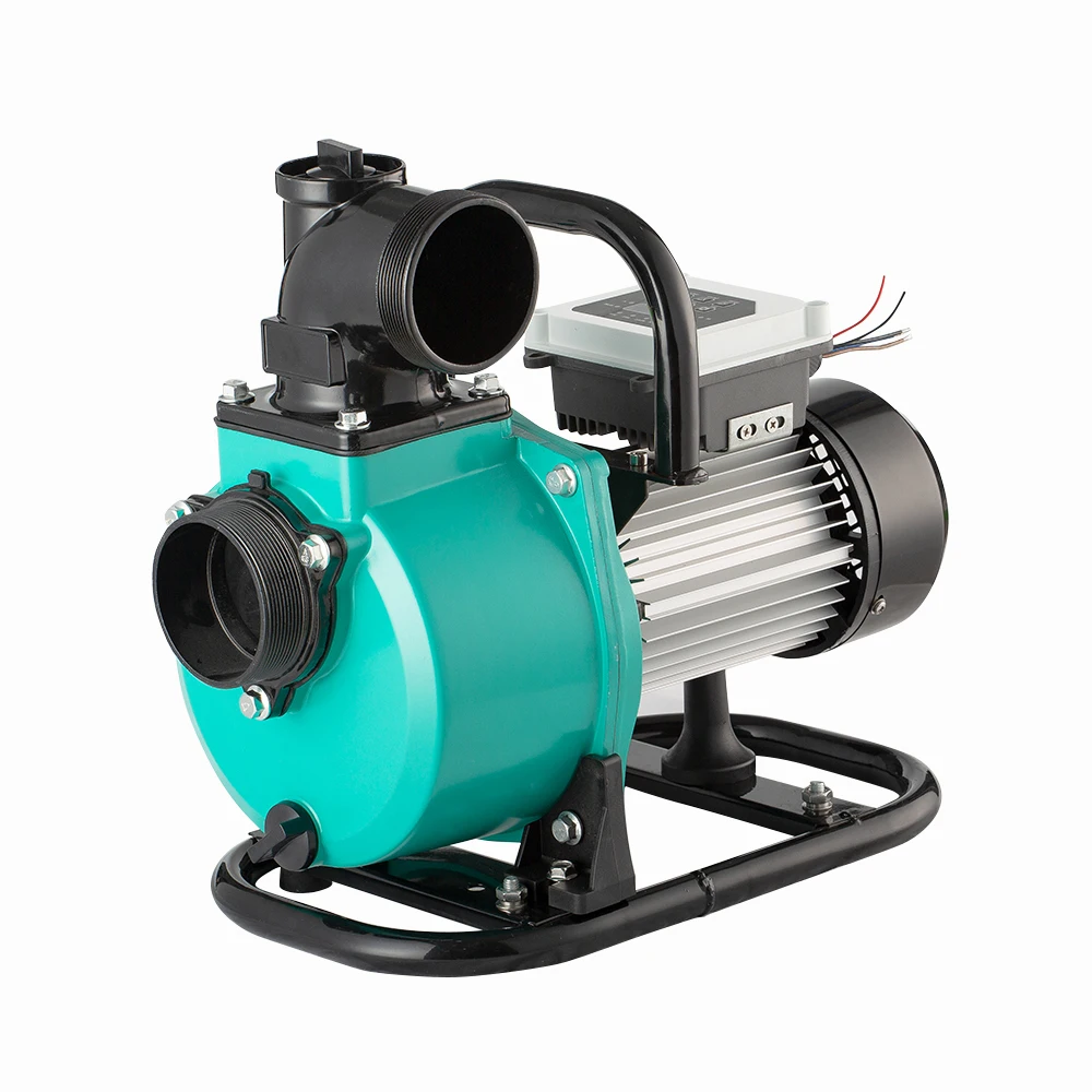 High Efficient PMSM Motor 1.2 HP Surface Solar Water Pump for Agriculture