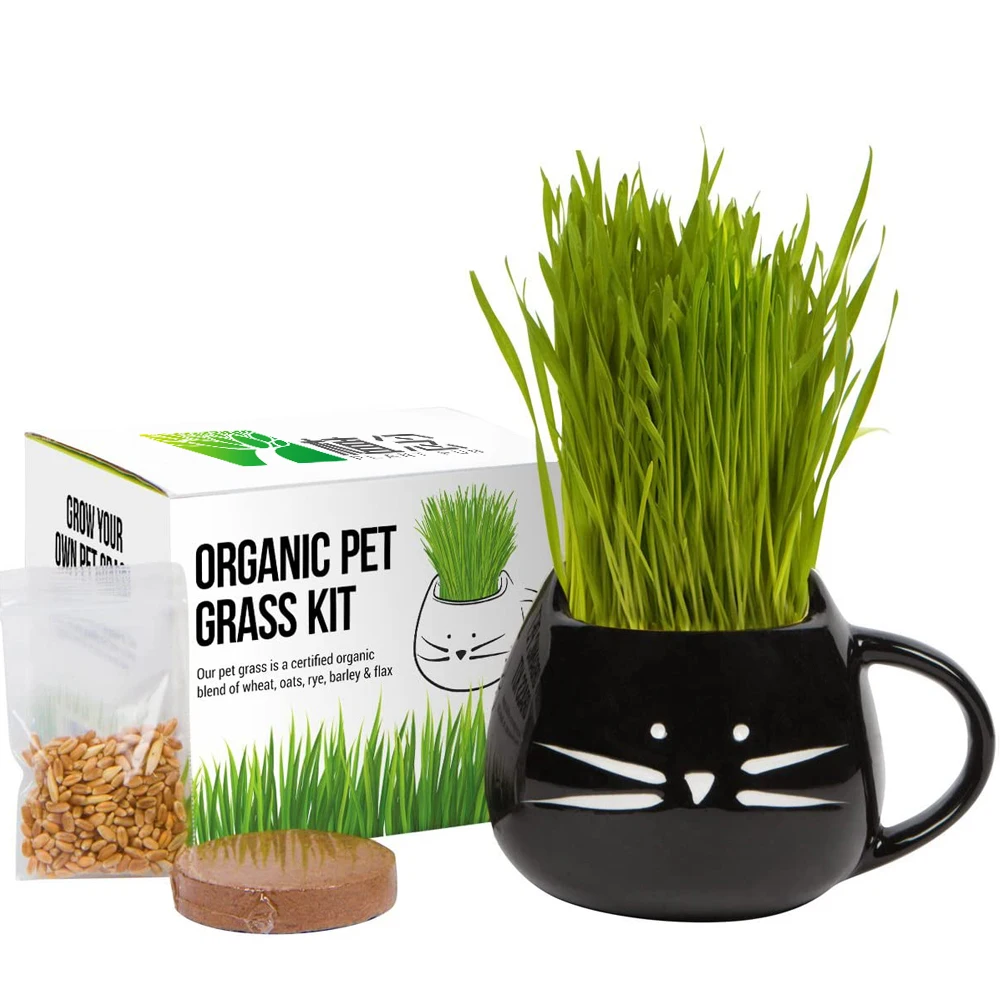 Direct manufacturer Petlinks Nibble Licious Organic Cat Grass Seeds Growing Kit